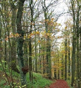 Explorando caminos: ¡SE HACE CAMINO AL ANDAR!