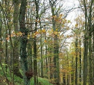 'SE HACE CAMINO AL ANDAR': Explorando caminos